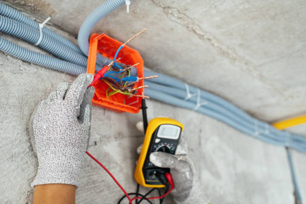 Best Electrical Repair Services  in Chariton, IA